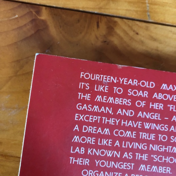 Maximum Ride Manga Volume 1 Narae Lee Graphic Novel Action Sci-Fy Teen YA - Picture 5 of 9